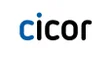 Chicory Logo